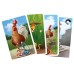 Rooster Chase kaartspel Pythagoras Rooster Chase kaartspel Pythagoras