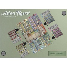 Asian Tigers bordspel Pythagoras Asian Tigers bordspel Pythagoras